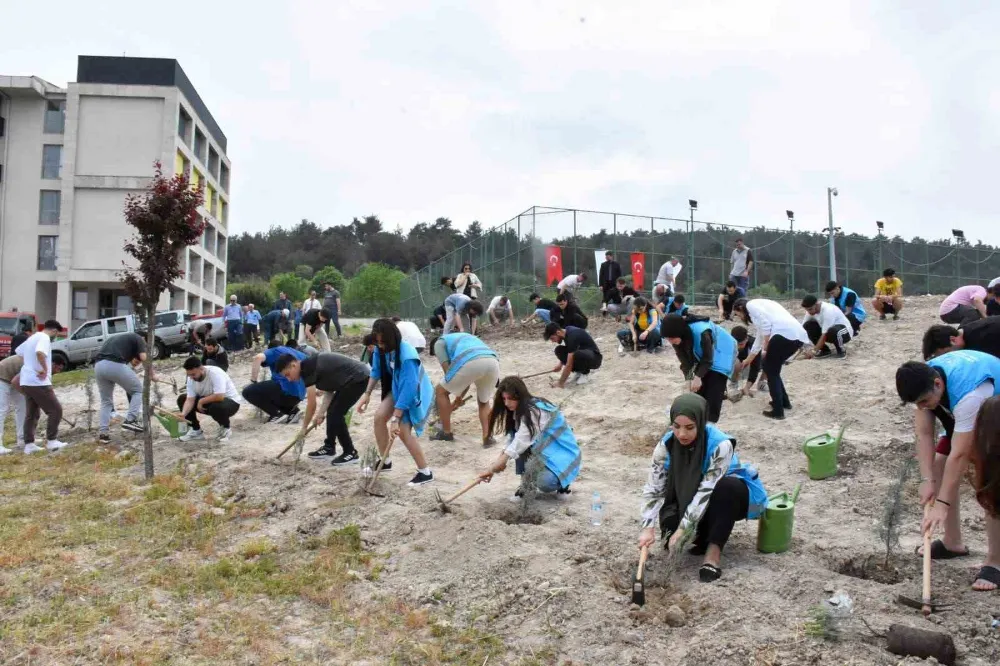Kız Öğrenci Yurdunun Çevresine Yeni Fidanlar Dikildi