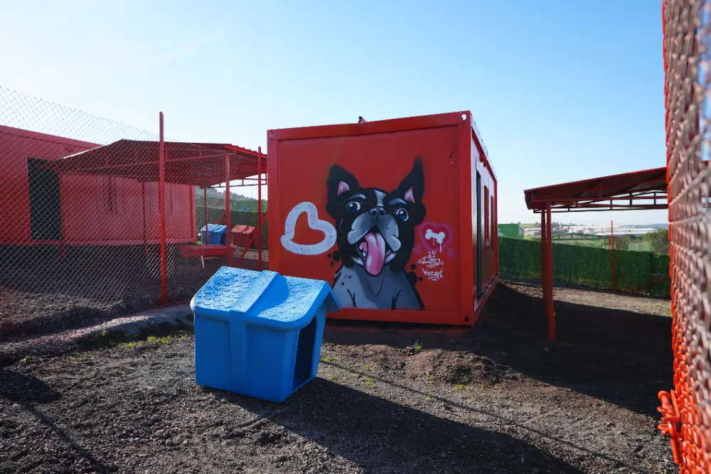 TÜRKİYE’DE İLK DEFA ÖZEL GEREKSİNİMLİ CAN DOSTLARA SICAK YUVA BALIKESİR’DE
