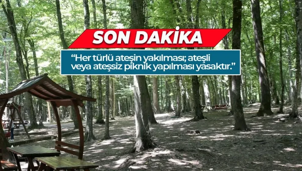 Balıkesir Valiliği’nden Yaz Dönemi İçin Ormanlara Giriş Yasağı! İşte Yasaklı ve Serbest Bölgeler – 2025