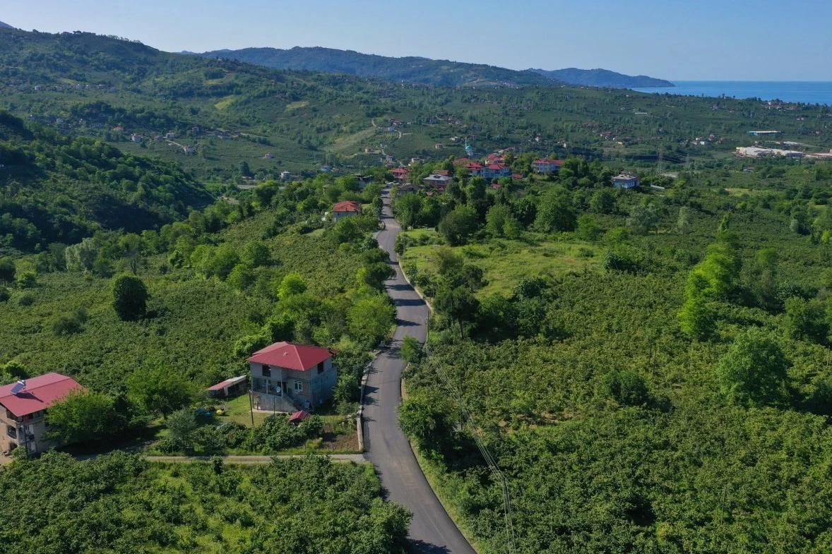 Ordu