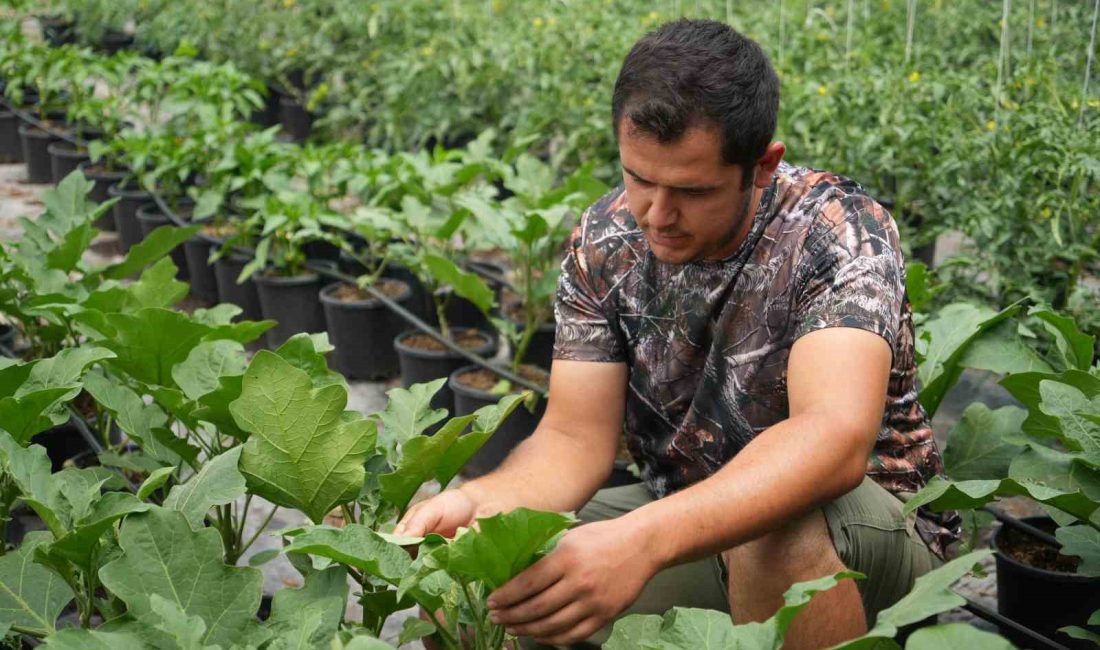 Bursa’da dağlık bölgede kurdukları