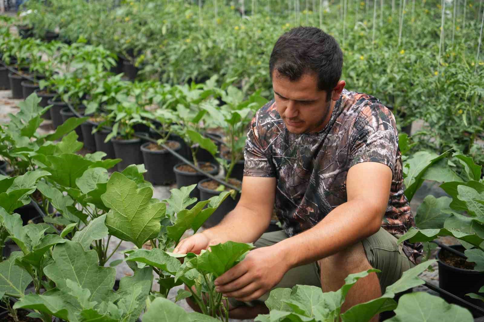 TOPRAKSIZ SERA YÜZDE 50 DAHA KARLI