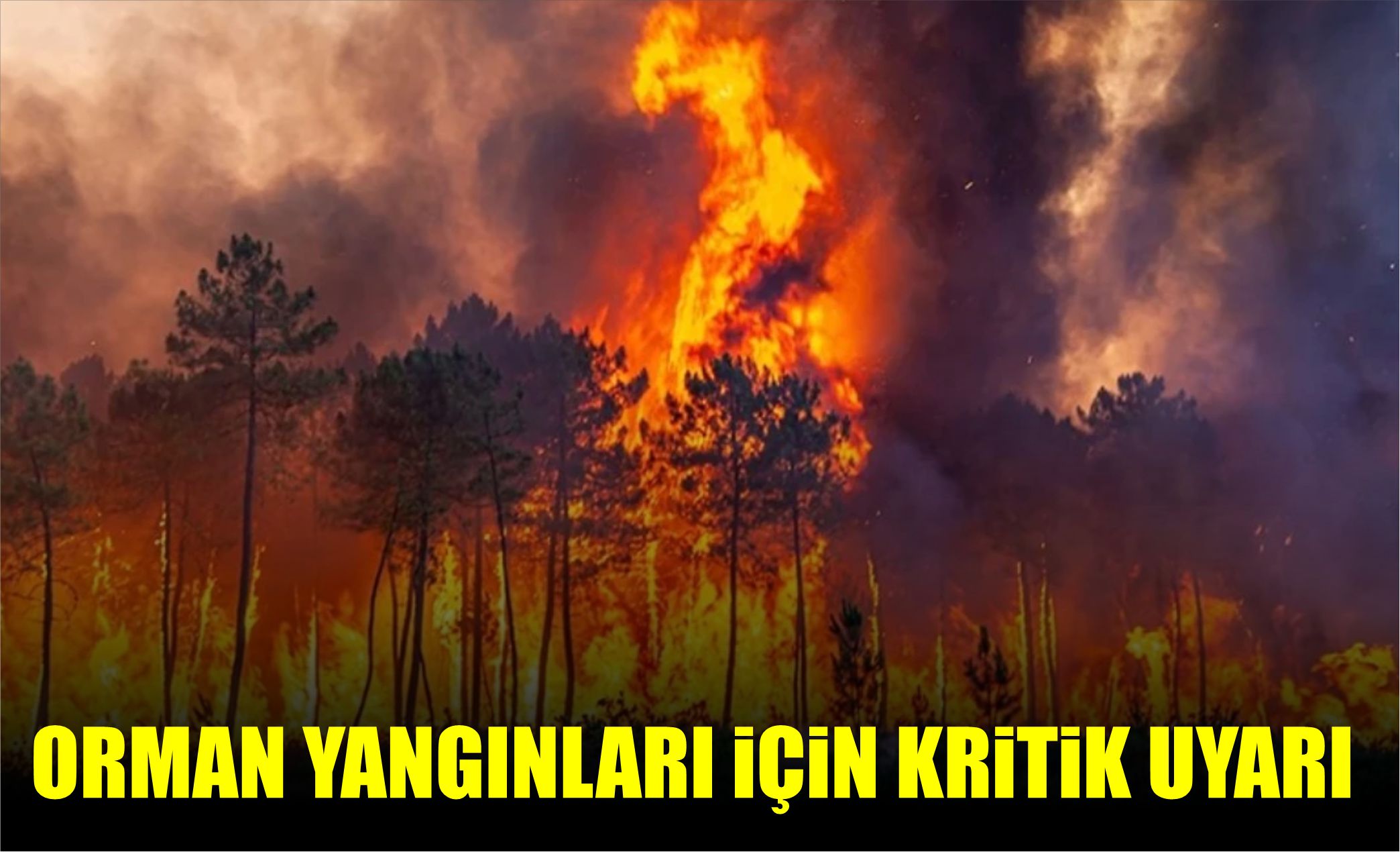 ORMAN YANGINLARI İÇİN KRİTİK UYARI