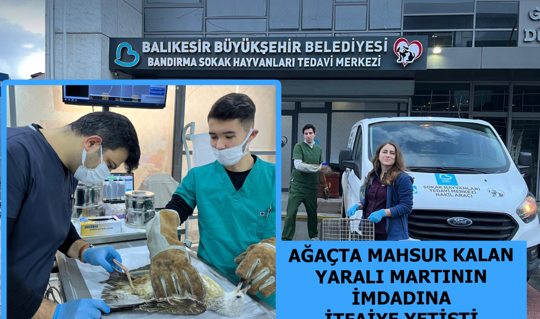 Balıkesir’in Bandırma ilçesine bağlı